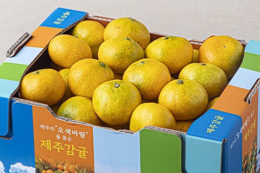 [오색바람 감귤 랜덤과] OOOO한 알맹이의촉촉한 식감이 매력적이죠