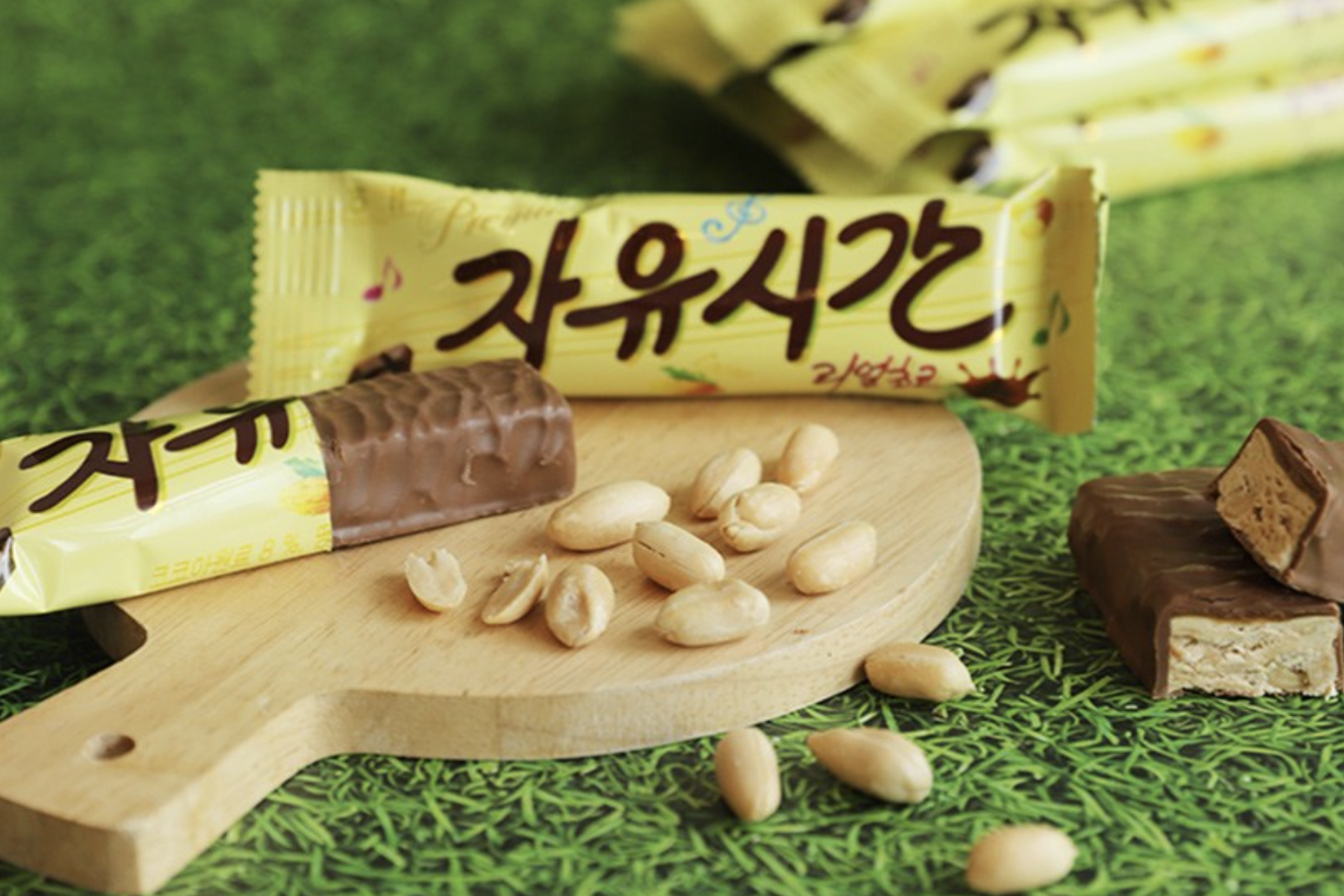 [자유시간 미니]대한민국 No.1 초코바OOOO